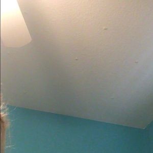 Meet your Posher, Evan